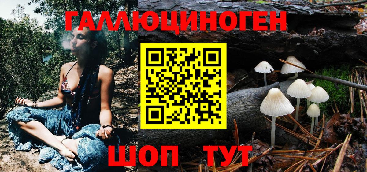 Галлюциногенные грибы ЛСД  Псилоцибиновые грибы MAGIC MUSHROOMS  Вход с VPN  купить закладку  Нарткала 